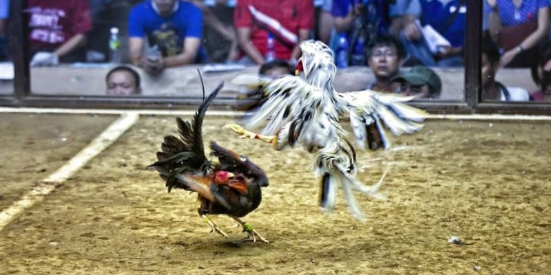 qh88 ﻿đăng nhập lô đề uy tín