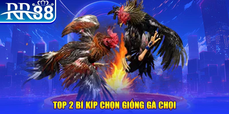 qh88 bắn cá h5
