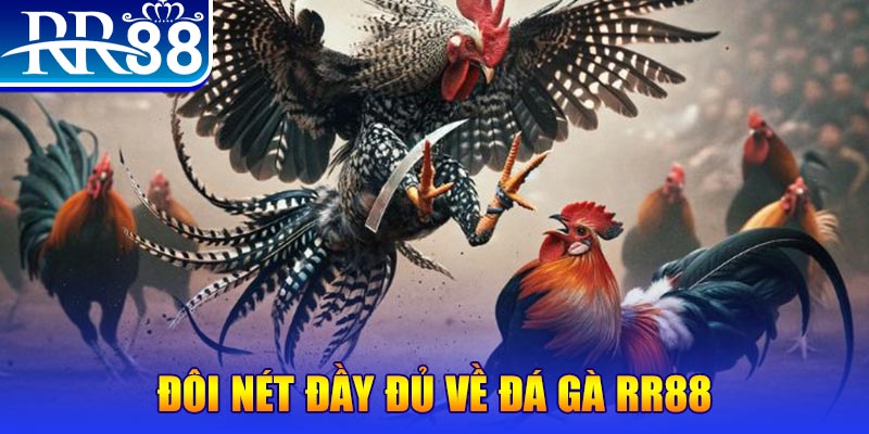 qh88 gà chọi hoà phong