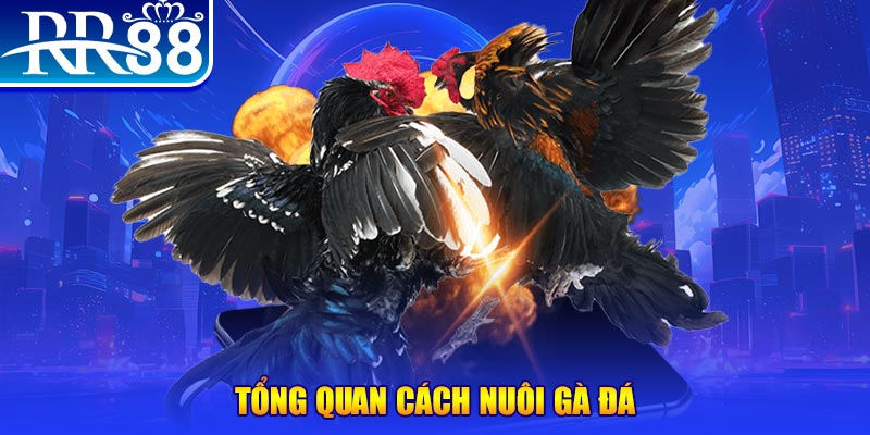 qh88 xổ số thứ ba