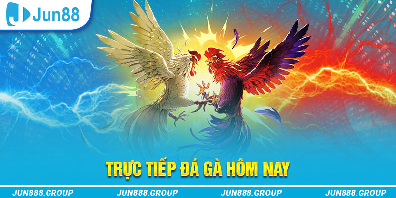 qh88 trực tiếp đá gà thomo