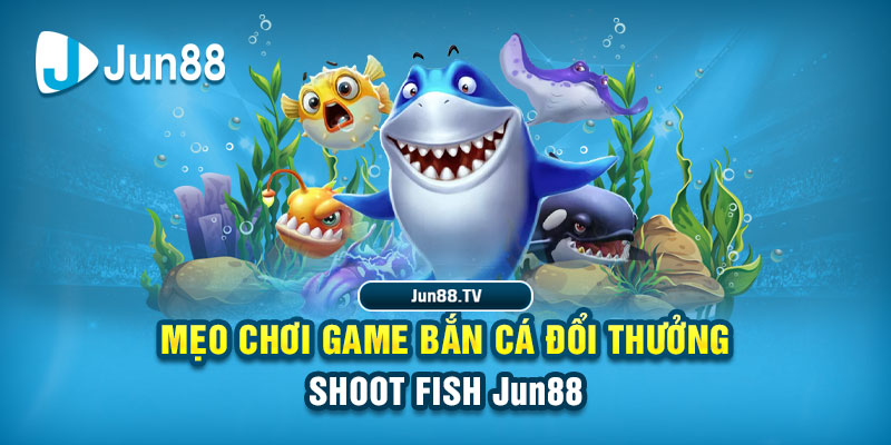 qh88 tải game đánh bài online về máy tính