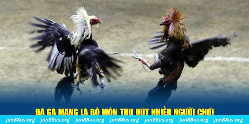 qh88 xổ số long an