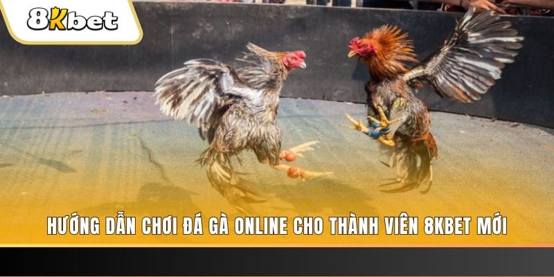 qh88 nổ hũ đổi thưởng . ai