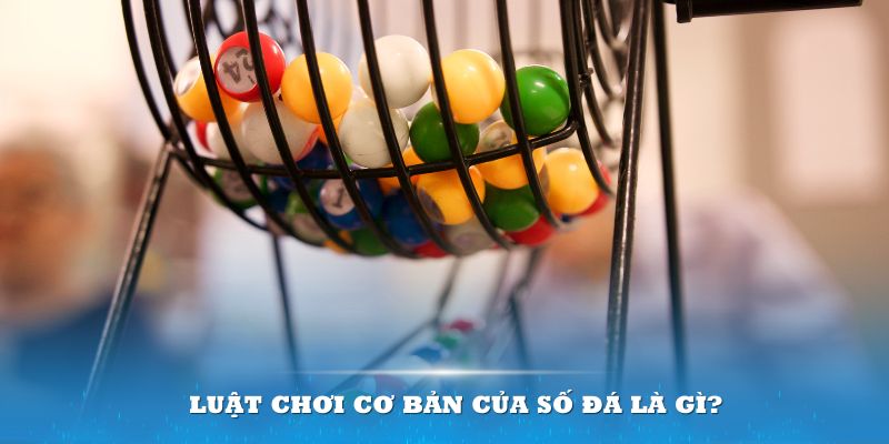 qh88 Đĩa màu ace