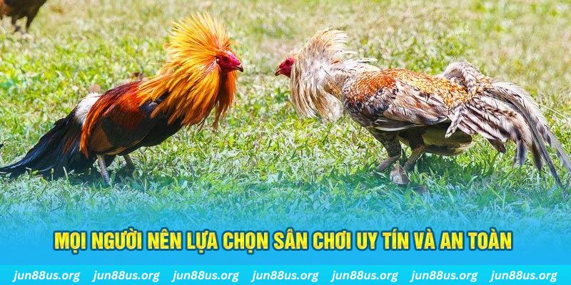 qh88 Tài Xỉu