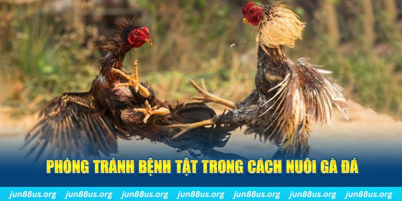 qh88 natural” trong baccarat nghĩa là gì？
