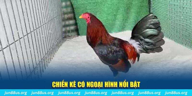 qh88 nhạc slot là gì