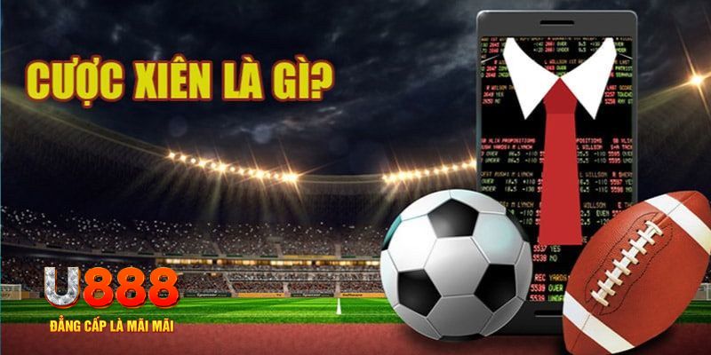 qh88 đá gà thomo hôm nay